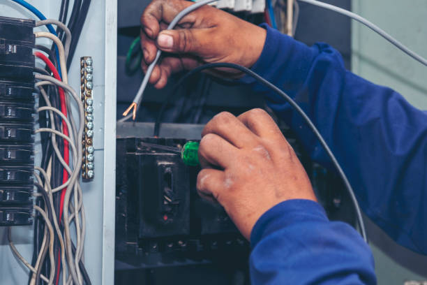 Best Electric Panel Repair  in Elm Grove, WI